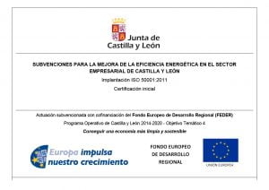 Subvenciones para la mejora de la eficiencia energética en el sector empresarial junta de castilla y león linecar