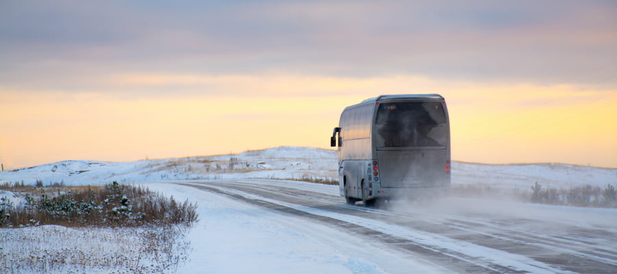 Disfruta del turismo invernal con linecar