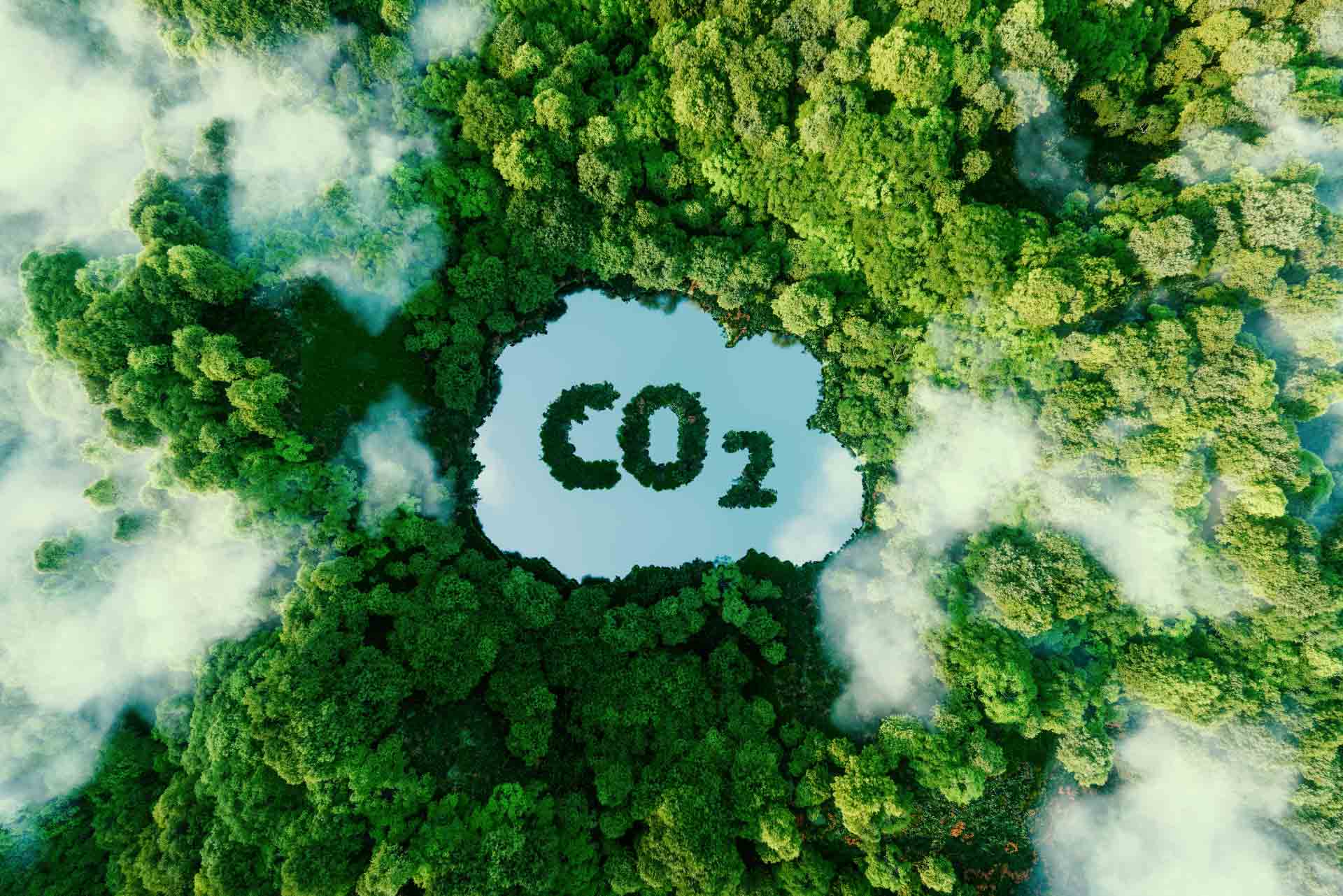 LINEcar compromiso medioambiente - Cero Emisiones